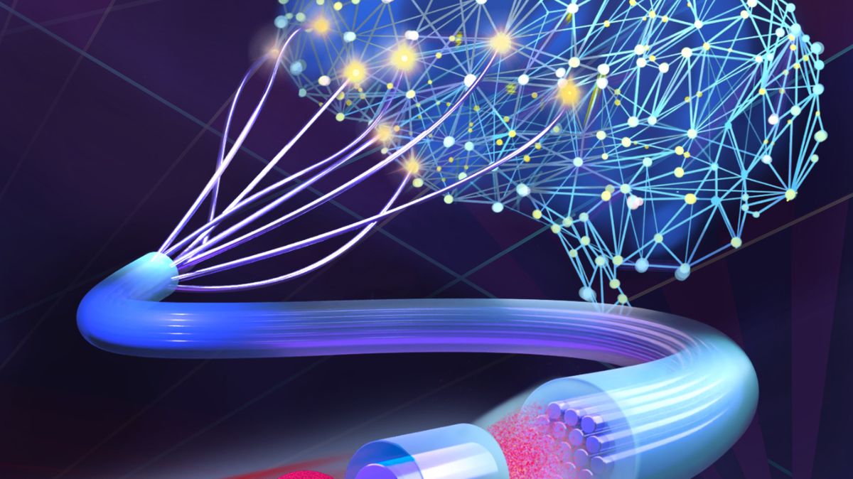 V Olomouci vyvinuli malého pomocníka, který dokáže získat informace ze světla